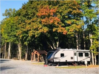 A picture of the Biltmore Estate through the fall trees