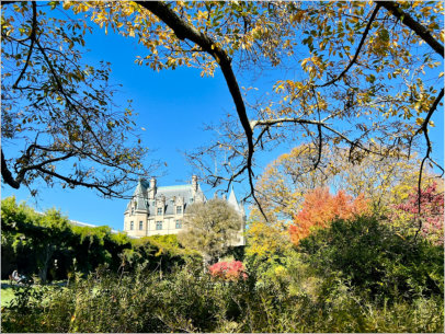 A picture of the Biltmore Estate through the fall trees